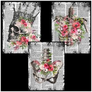 Gothic Anatomy Wild Roses Art Print Bundle Special